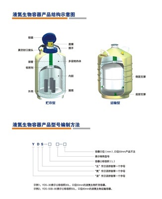 四川液氮罐YDS-10 成都钧乔科技的专业选择与价格指南